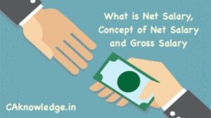 Gross Pay Vs  Net Pay