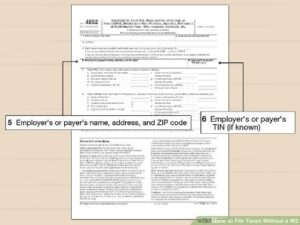 How To File Your Own Taxes