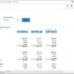 Monthly Balance Sheet Forecast Report