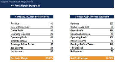 the profitability ratio and company evaluation